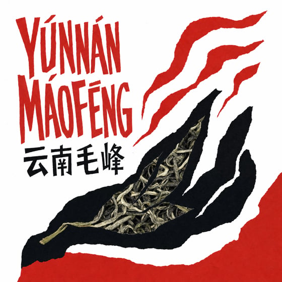 Yunnan Mao Feng Green Tea